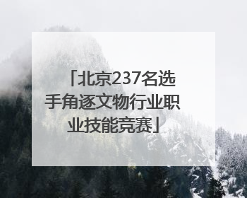 北京237名选手角逐文物行业职业技能竞赛