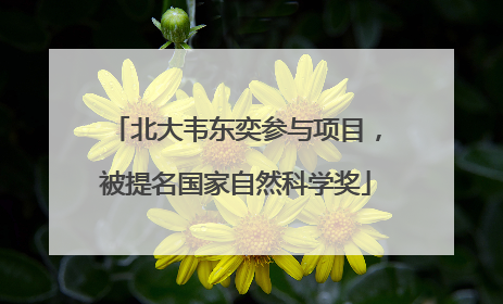 北大韦东奕参与项目，被提名国家自然科学奖