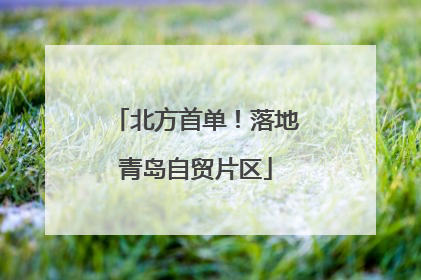 北方首单！落地青岛自贸片区