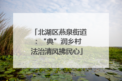 北湖区燕泉街道：“典”润乡村 法治清风拂民心