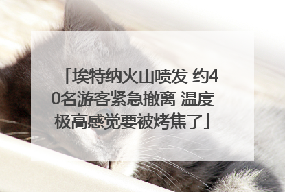 埃特纳火山喷发 约40名游客紧急撤离 温度极高感觉要被烤焦了