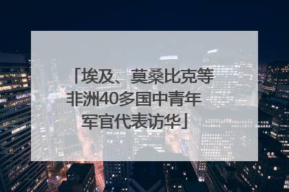 埃及、莫桑比克等非洲40多国中青年军官代表访华