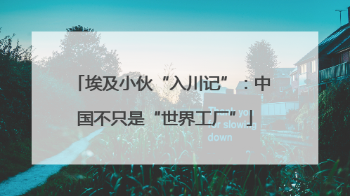 埃及小伙“入川记”：中国不只是“世界工厂”