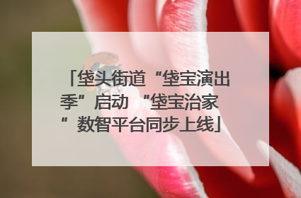 垡头街道“垡宝演出季”启动 “垡宝治家”数智平台同步上线