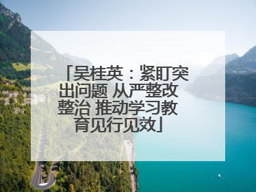 吴桂英：紧盯突出问题 从严整改整治 推动学习教育见行见效