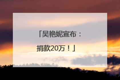 吴艳妮宣布：捐款20万！