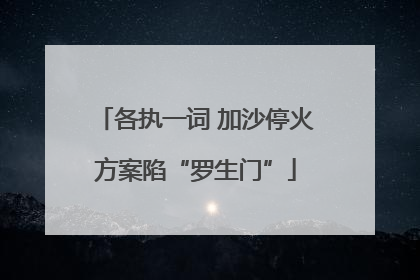 各执一词 加沙停火方案陷“罗生门”