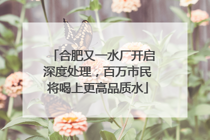 合肥又一水厂开启深度处理，百万市民将喝上更高品质水