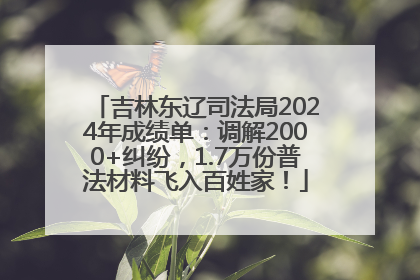 吉林东辽司法局2024年成绩单：调解2000+纠纷，1.7万份普法材料飞入百姓家！