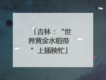吉林：“世界黄金水稻带”上插秧忙