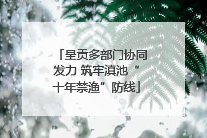 呈贡多部门协同发力 筑牢滇池“十年禁渔”防线