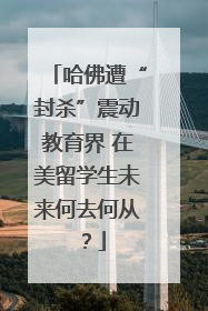 哈佛遭“封杀”震动教育界 在美留学生未来何去何从？