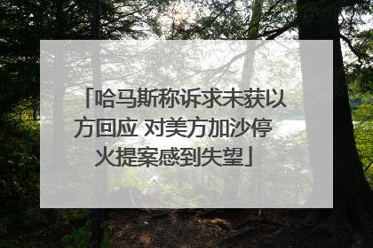 哈马斯称诉求未获以方回应 对美方加沙停火提案感到失望