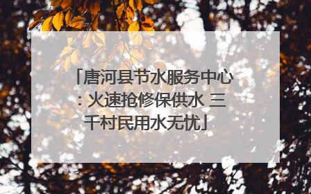 唐河县节水服务中心：火速抢修保供水 三千村民用水无忧