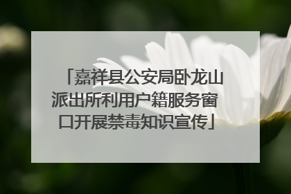 嘉祥县公安局卧龙山派出所利用户籍服务窗口开展禁毒知识宣传