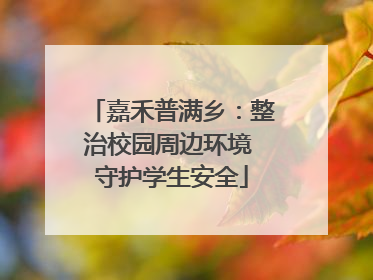 嘉禾普满乡：整治校园周边环境 守护学生安全