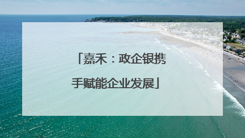 嘉禾：政企银携手赋能企业发展