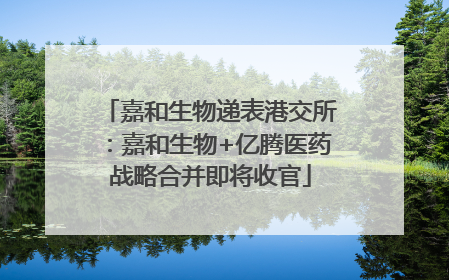 嘉和生物递表港交所：嘉和生物+亿腾医药战略合并即将收官