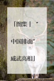 图集︱“中国排面”威武亮相