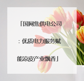 国网焦供电公司：优质电力服务赋能凉皮产业飘香