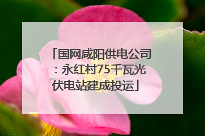 国网咸阳供电公司：永红村75千瓦光伏电站建成投运
