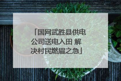 国网武胜县供电公司送电入田 解决村民燃眉之急