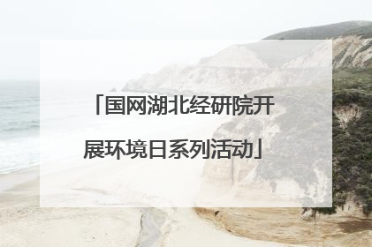 国网湖北经研院开展环境日系列活动