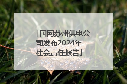 国网苏州供电公司发布2024年社会责任报告
