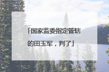 国家监委指定管辖的田玉军，判了