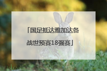 国足抵达雅加达备战世预赛18强赛