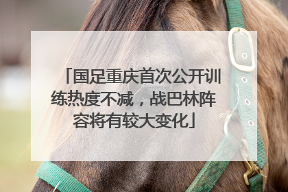国足重庆首次公开训练热度不减，战巴林阵容将有较大变化