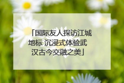 国际友人探访江城地标 沉浸式体验武汉古今交融之美
