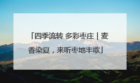 四季流转 多彩枣庄｜麦香染夏，来听枣地丰歌