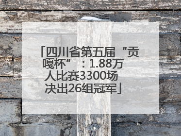 四川省第五届“贡嘎杯”：1.88万人比赛3300场 决出26组冠军