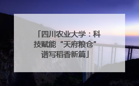 四川农业大学：科技赋能“天府粮仓”谱写稻香新篇
