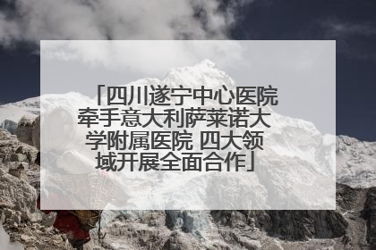 四川遂宁中心医院牵手意大利萨莱诺大学附属医院 四大领域开展全面合作
