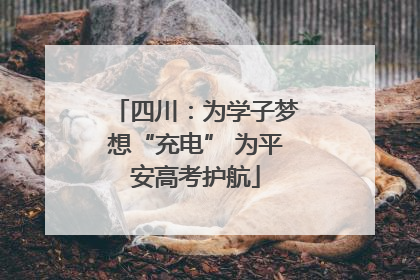四川:为学子梦想“充电” 为平安高考护航