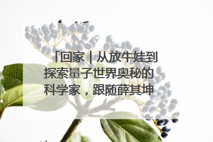 回家｜从放牛娃到探索量子世界奥秘的科学家，跟随薛其坤重访梦想起点