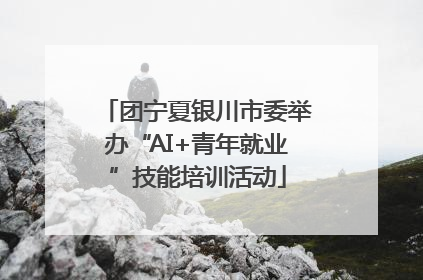 团宁夏银川市委举办“AI+青年就业”技能培训活动