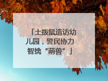 土拨鼠造访幼儿园，警民协力智擒“萌兽”
