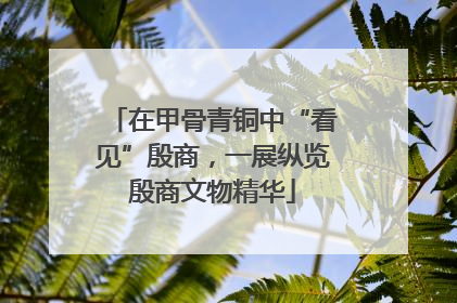 在甲骨青铜中“看见”殷商，一展纵览殷商文物精华