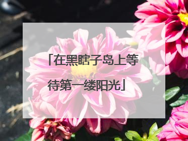 在黑瞎子岛上等待第一缕阳光