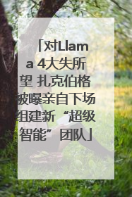 对Llama 4大失所望 扎克伯格被曝亲自下场组建新“超级智能”团队