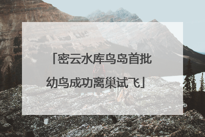 密云水库鸟岛首批幼鸟成功离巢试飞