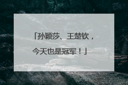 孙颖莎、王楚钦，今天也是冠军！