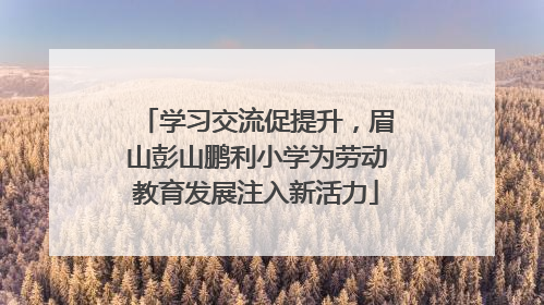 学习交流促提升，眉山彭山鹏利小学为劳动教育发展注入新活力