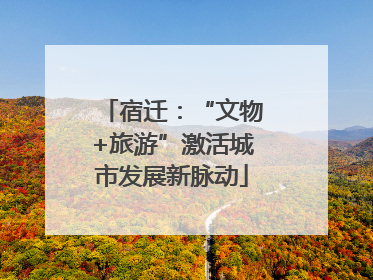 宿迁：“文物+旅游”激活城市发展新脉动