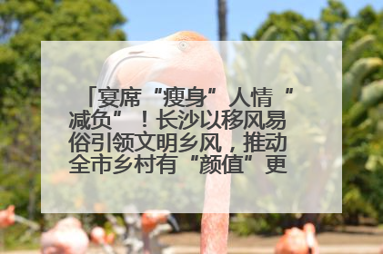 宴席“瘦身”人情“减负”！长沙以移风易俗引领文明乡风，推动全市乡村有“颜值”更显“气质”