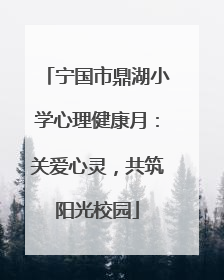 宁国市鼎湖小学心理健康月：关爱心灵，共筑阳光校园