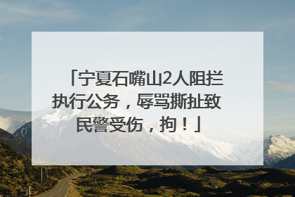宁夏石嘴山2人阻拦执行公务，辱骂撕扯致民警受伤，拘！